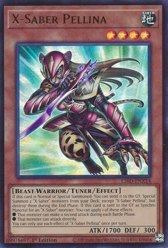 X-Saber Pellina